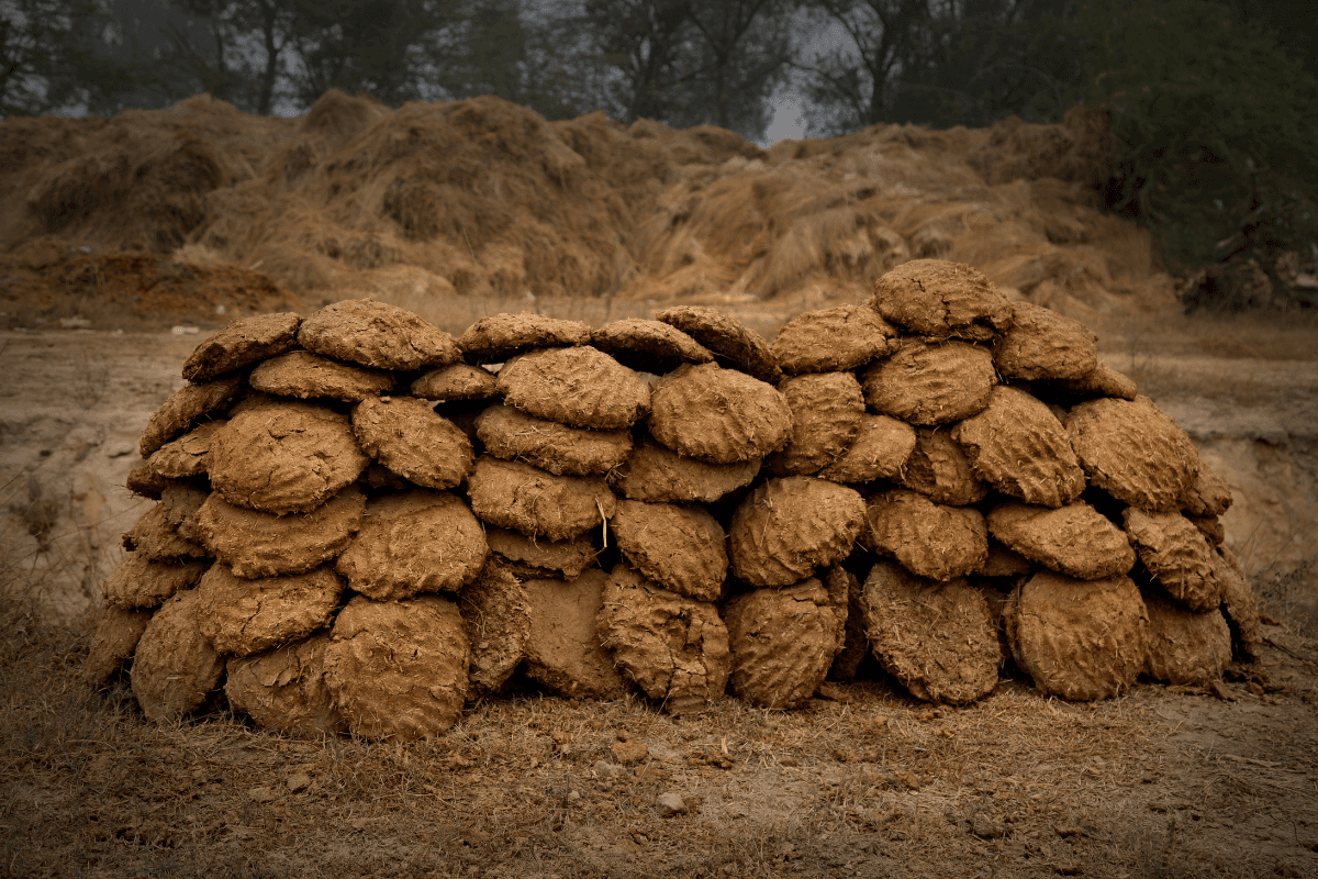 Organic Cow Dung Cakes